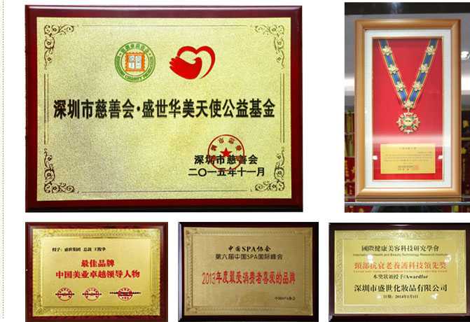 王俊華董事長成立盛世華美天使公益基金 王俊華董事長成立盛世華美天使公益基金